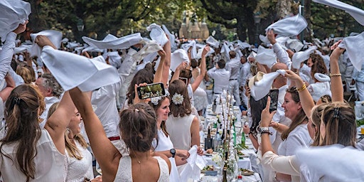 Imagem principal do evento Dé Zomer Picknick