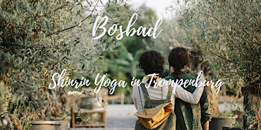 Imagem principal de Dag van het Park  Trompenburg met Shinrin Yoga bosbad