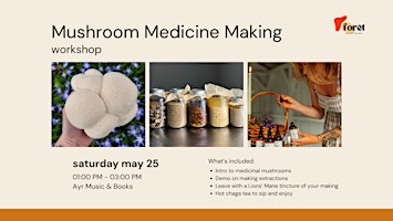 Primaire afbeelding van Mushroom Medicine Making Workshop