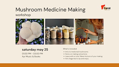 Mushroom Medicine Making Workshop
