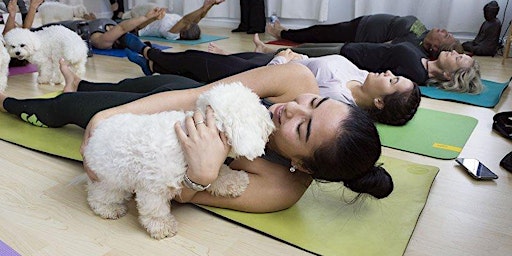 Puppy Yoga