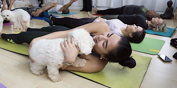Puppy Yoga!
