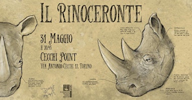 Immagine principale di Il Rinoceronte 
