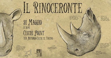 Image principale de Il Rinoceronte