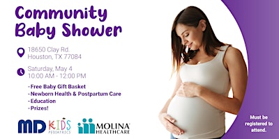 Imagen principal de Free Houston Community Baby Shower With Molina Healthcare