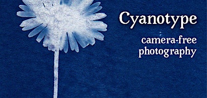 Imagem principal de Cyanotype: Camera-Free Photography