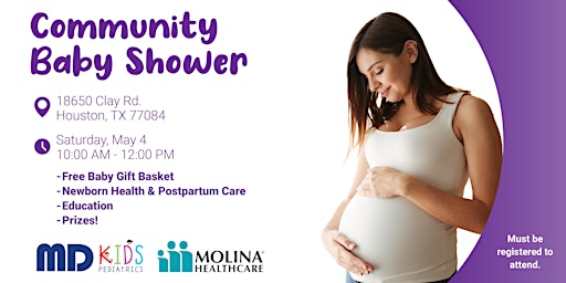 Image principale de Free Houston Community Baby Shower With Molina Healthcare