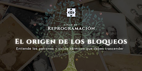 Immagine principale di Reprogramación |1| El origen de los bloqueos. 