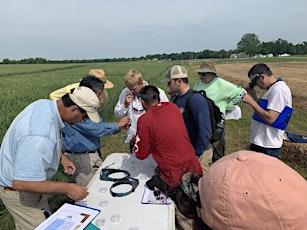 2024 KATS Crop Scouting Workshop