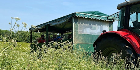 Open Farm Sunday at The Allerton Project