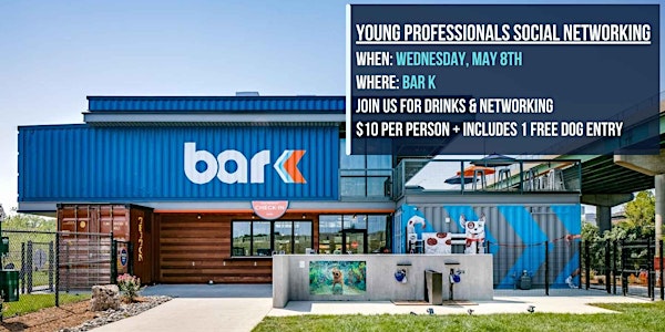 Young Professionals Social Networking