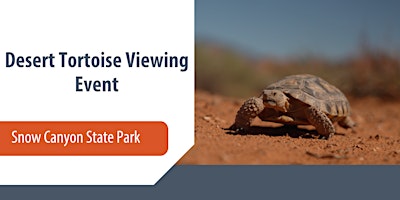 Desert Tortoise Viewing Event