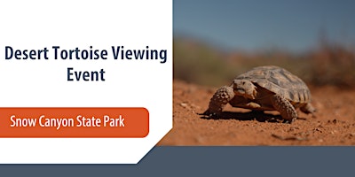 Image principale de Desert Tortoise Viewing Event