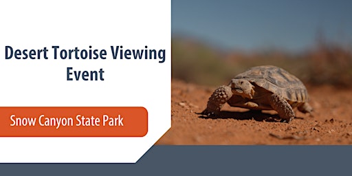 Imagem principal do evento Desert Tortoise Viewing Event
