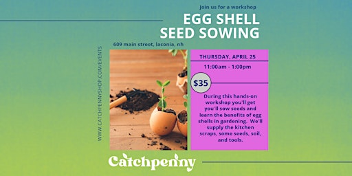Imagem principal do evento Egg Shell Seed Sowing Workshop