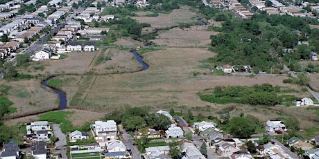 Staten Island Bluebelt Walk