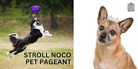 Stroll NoCo Pet Pageant