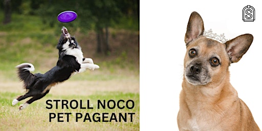 Imagem principal do evento Stroll NoCo Pet Pageant