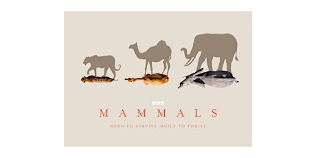 BBC Studios Natural History Unit Screening: MAMMALS + Q&A
