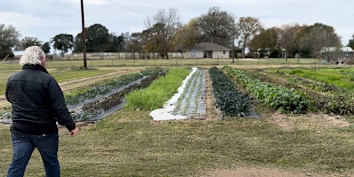 Vegetable Field Day at Whitehurst Farm primary image
