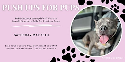 Imagem principal do evento Push Ups For Pups