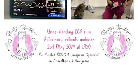 Understanding  ECG's in Veterinary Patients