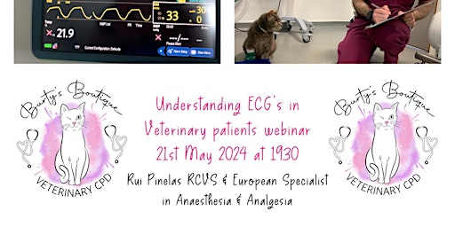 Understanding  ECG's in Veterinary Patients primary image