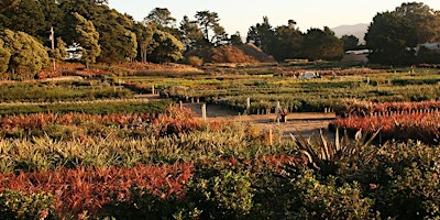 Pacific Nurseries Tour with Lead Buyer primary image