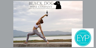 Primaire afbeelding van Vino & Vinyasa