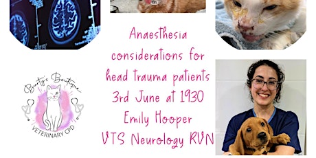 Anaesthesia considerations for head trauma patients