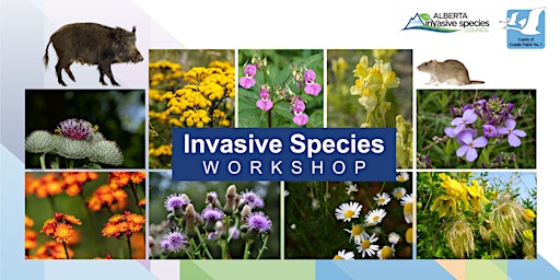 Hauptbild für Invasive Species Workshop