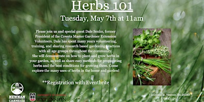 Herbs 101 primary image