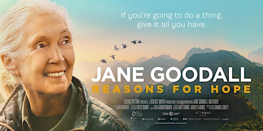 Image principale de Jane Goodall: Reasons for Hope - Free Educator Screening