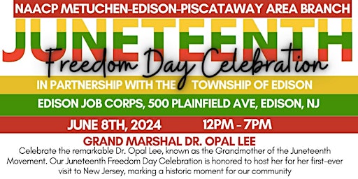 Primaire afbeelding van Juneteenth Freedom Day Celebration