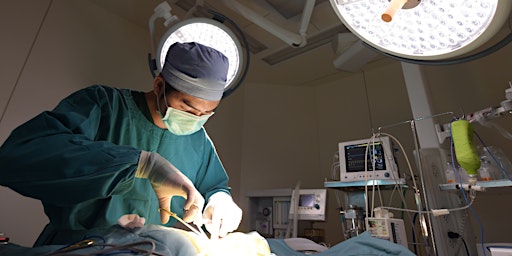 Perioperative and Surgical Treatment of Portosystemic Shunts  primärbild