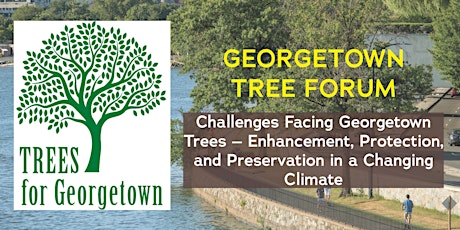 GEORGETOWN TREE FORUM Challenges Facing Georgetown Trees