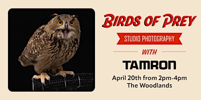 Primaire afbeelding van Birds of Prey Studio Photography With Tamron