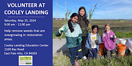 Volunteer Outdoors in East Palo Alto at Cooley Landing