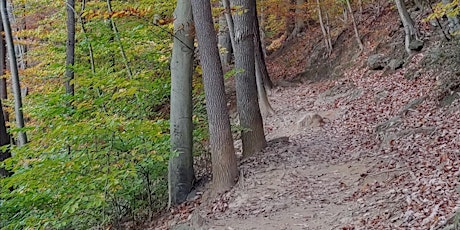 Wild Wissahickon Day/City Nature Challenge ID Stations.