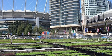 Production in/of ‘The Greenest City’: Urban agriculture and its governance in Portland and Vancouver primary image