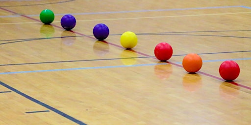 Hauptbild für Dodgeball games - ages 10+