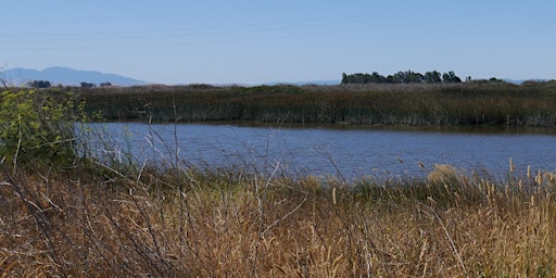 Ecology Of The Suisun Marsh Speaking Engagement primary image