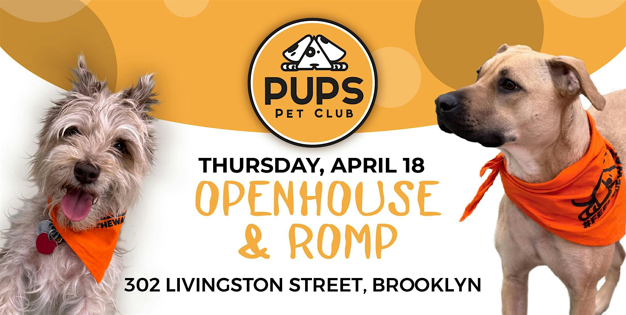 DOG ROMP and OPEN HOUSE – DoBro 27