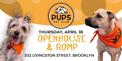 DOG ROMP and OPEN HOUSE - DoBro 18 primary image