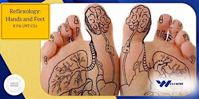 Imagem principal de Reflexology Hands/Feet