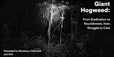 Giant Hogweed: From Eradication to Nourishment, from Struggle to Care primary image