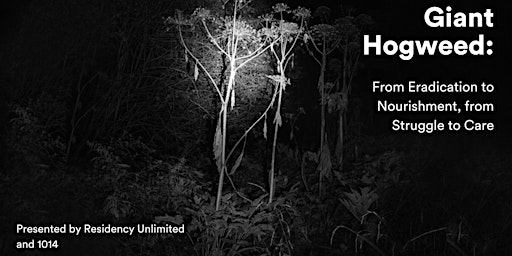 Image principale de Giant Hogweed: From Eradication to Nourishment, from Struggle to Care