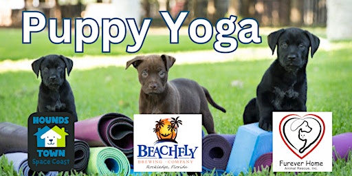 Imagem principal de Puppy Yoga at BeachFly Brewing