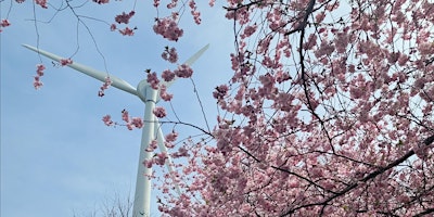 Cherry Blossoms Photo Walk  primärbild