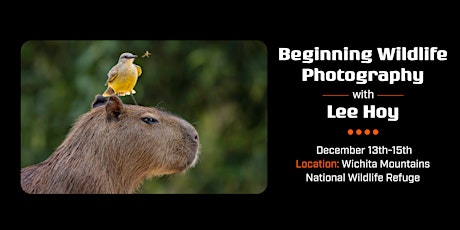 Wildlife Photography Excursion with Lee Hoy